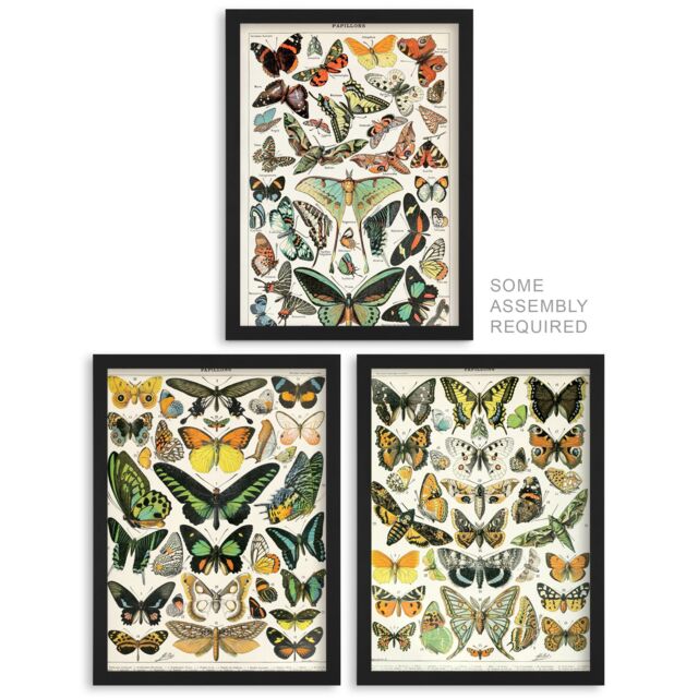 Artery8 A4 Wall Art & Frame Set of 3 Insects Butterflies Vintage Millot - image 1