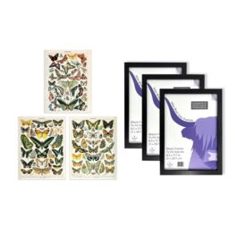 Artery8 A4 Wall Art & Frame Set of 3 Insects Butterflies Vintage Millot - thumbnail 5