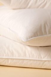 die zudecke Canadian Goose Down Kingsize Pillow in White - thumbnail 2