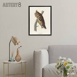 "Artery8 Birds Of America Long Eared Owl Audubon Nature Framed Canvas Wall Art in White - Size: W12"" x H16""" - thumbnail 3