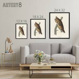 "Artery8 Birds Of America Long Eared Owl Audubon Nature Framed Canvas Wall Art in White - Size: W12"" x H16""" - thumbnail 4