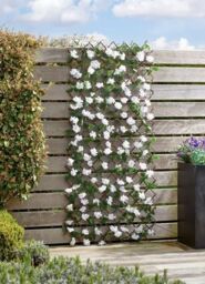Marco Paul Solar Powered Artificial Flower Wall Garden Trellis - Hydrangea in Green - thumbnail 4