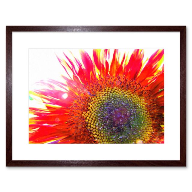 "Artery8 Wall Art Print Red Sunflower Head Close Up Framed in Brown - Size: W7"" x H9""" - image 1
