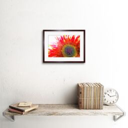 "Artery8 Wall Art Print Red Sunflower Head Close Up Framed in Brown - Size: W7"" x H9""" - thumbnail 2