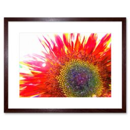 "Artery8 Wall Art Print Red Sunflower Head Close Up Framed in Brown - Size: W7"" x H9""" - thumbnail 1