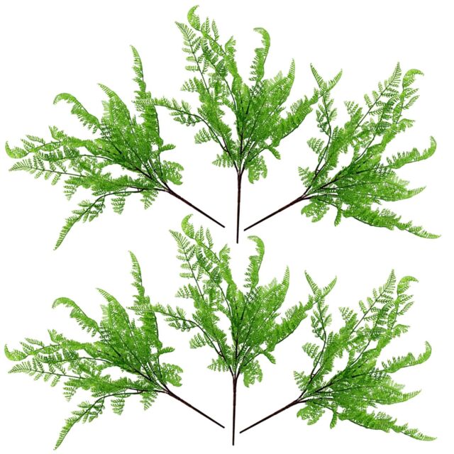 Leaf 6 x 50cm Southern Wood Fern Bush Dark Green Plant - Size: 6 x 50 cm - image 1