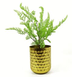 Leaf 6 x 50cm Southern Wood Fern Bush Dark Green Plant - Size: 6 x 50 cm - thumbnail 4