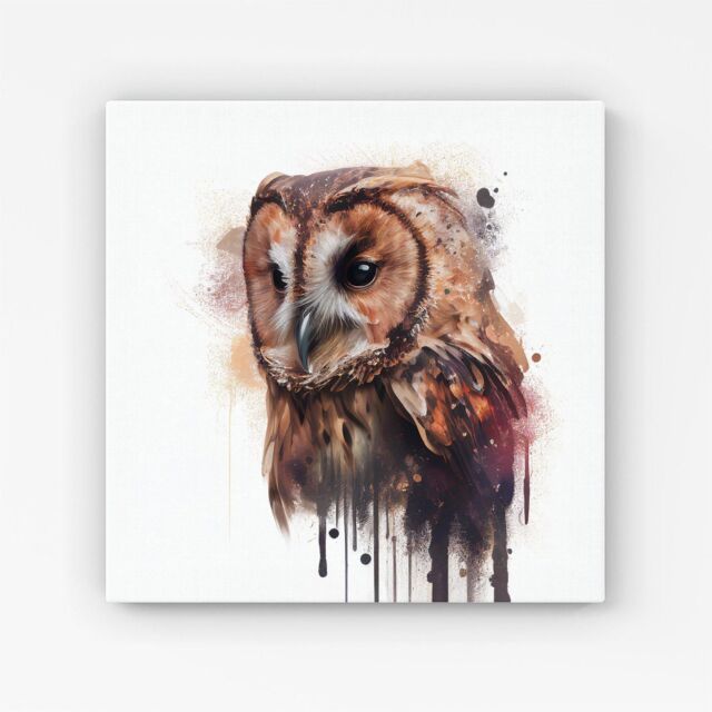 "Warren Reed - Designer Tawny Owl Face Splashart Light Background Canvas in Brown - Size: W16"" x H16""" - image 1