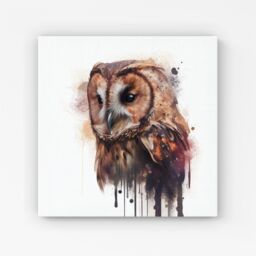 "Warren Reed - Designer Tawny Owl Face Splashart Light Background Canvas in Brown - Size: W16"" x H16""" - thumbnail 1