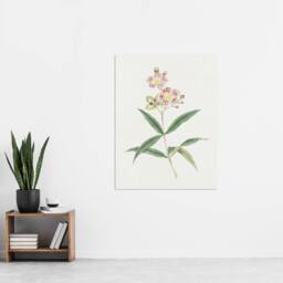 "Artery8 Red White Blossoms Japan Wall Art Print Vintage Japanese Flower in Green - Size: W24"" x H32""" - thumbnail 4