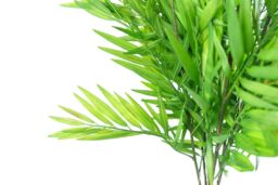 Leaf 85cm Artificial Bamboo Fern Stem in Green - thumbnail 3