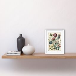 "Artery8 Wall Art Print Ernst Haeckel Style Vintage Botanical Plant Study Modern Watercolour Painting Artwork Framed 9X7 Inch - Size: W7"" x H9""" - thumbnail 2