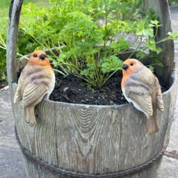 Animal Crackers Robin Pot Hangers set of 2 [36] - thumbnail 4