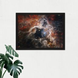 "Artery8 Wall Art Print NASA James Webb Space Telescope NIRCam A Cosmic Tarantula 30 Doradus NGC 2070 Large Framed Wall Décor Art - Size: W18"" x H24""" - thumbnail 2