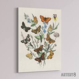 "Artery8 Butterflies & Caterpillars Kirby Vintage Canvas Wall Art in White - Size: W18"" x H24""" - thumbnail 2