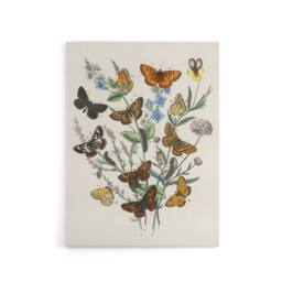 "Artery8 Butterflies & Caterpillars Kirby Vintage Canvas Wall Art in White - Size: W18"" x H24""" - thumbnail 1