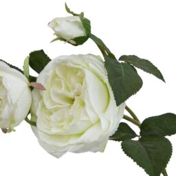 Love Lace White Charity Rose Artificial Flower - thumbnail 2