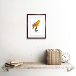 "Artery8 Wall Art Print Yellow Amazon Bird Art Framed 9x7 inch in Brown - Size: W7"" x H9""" - thumbnail 2