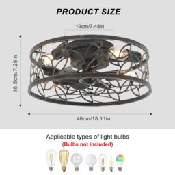Garwarm 46cm Farmhouse Caged Ceiling Fan with Light Kit & Remote in Bronze - thumbnail 4