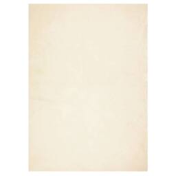 Berkfield Home Rug HUARTE Short Pile Soft & Washable Cream 240x340 cm - Size: Medium - thumbnail 3