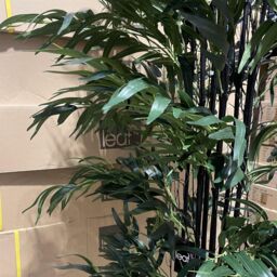 Leaf Natural Bamboo Tree 200cm Fire Retardant Commercial XXL in Green - thumbnail 3