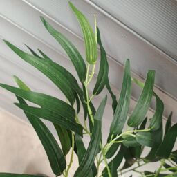 Leaf Natural Bamboo Tree 200cm Fire Retardant Commercial XXL in Green - thumbnail 5