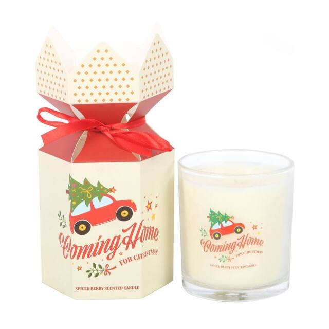 Something Different Coming Home for Christmas Spiced Berry Scented Candle in White - image 1