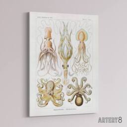 "Artery8 Squid & Octopus Vintage s Haeckel Botanical Canvas Wall Art in White - Size: W18"" x H24""" - thumbnail 2
