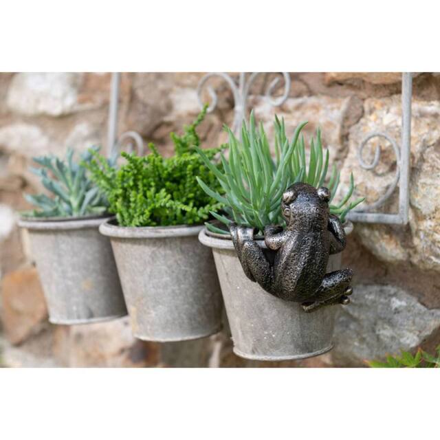 Jardinopia Frog Plant Pot Hanger - L10.5 x W11 x H5 cm in Bronze - image 1