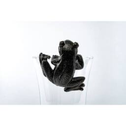 Jardinopia Frog Plant Pot Hanger - L10.5 x W11 x H5 cm in Bronze - thumbnail 4