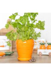 KDMD Carrot-Shaped Plant Pot with Parsley Seed Balls - Grow Fresh Herbs in Orange