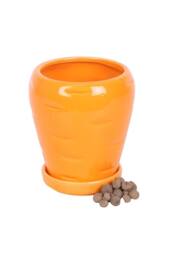 KDMD Carrot-Shaped Plant Pot with Parsley Seed Balls - Grow Fresh Herbs in Orange - thumbnail 2