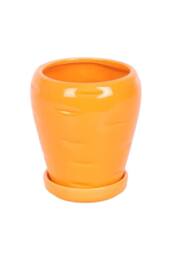 KDMD Carrot-Shaped Plant Pot with Parsley Seed Balls - Grow Fresh Herbs in Orange - thumbnail 3