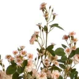 Hill Interiors Faux Wild Meadow Rose in Cream - thumbnail 2