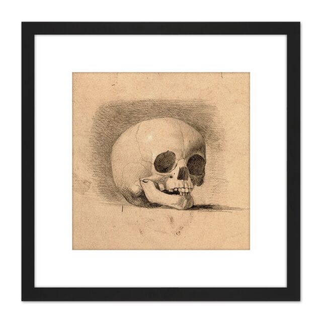 Artery8 Landseer Human Skull Anatomy Front View Drawing 8X8 Inch Square Wooden Framed Wall Art Print Picture with Mount in Black - image 1