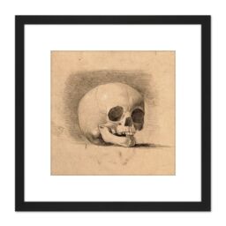 Artery8 Landseer Human Skull Anatomy Front View Drawing 8X8 Inch Square Wooden Framed Wall Art Print Picture with Mount in Black - thumbnail 1