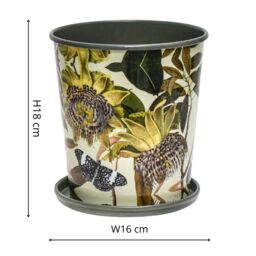 Royal Botanic Gardens Kew Kew Botanical Retreat Planter With Saucer 16Cm - Detachable Saucer - Light Weight - 2 Other Designs Available in Green - thumbnail 4