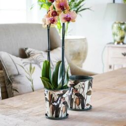 Royal Botanic Gardens Kew Kew Botanical Retreat Planter With Saucer 16Cm - Detachable Saucer - Light Weight - 2 Other Designs Available in Green - thumbnail 5