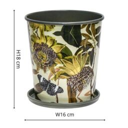 Royal Botanic Gardens Kew Kew Botanical Retreat Planter With Saucer 16Cm - Detachable Saucer - Light Weight - 2 Other Designs Available in Green - thumbnail 7