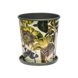 Royal Botanic Gardens Kew Kew Botanical Retreat Planter With Saucer 16Cm - Detachable Saucer - Light Weight - 2 Other Designs Available in Green - thumbnail 2