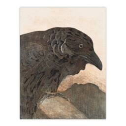 Artery8 Theo van Hoytema Framed Wall Art Print Old Crow Bird Painting in Brown - Size: A4 - thumbnail 3