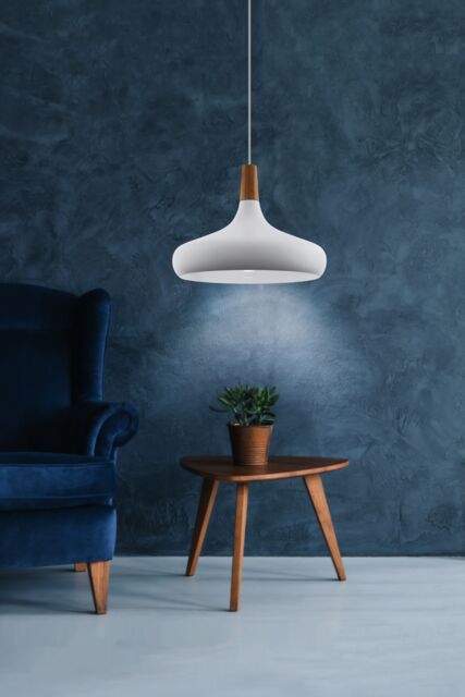 Eglo Sabinar White Metal/Wood Single Pendant Light - image 1
