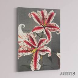 "Artery8 Pink Spotted Lily Flower Blooms Canvas Wall Art Print Kazumasa - Size: W18"" x H24""" - thumbnail 2
