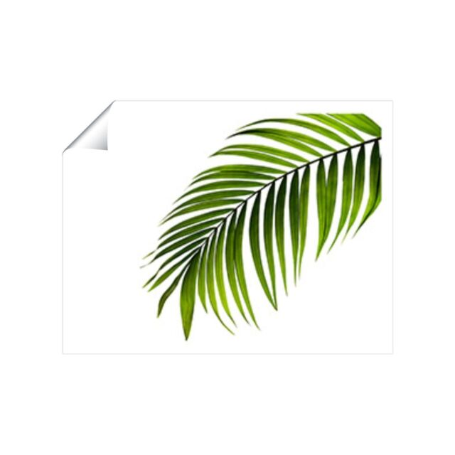 "Warren Reed - Designer Single Palm Leaf Unframed Art Print - Size: W24"" x H36""" - image 1