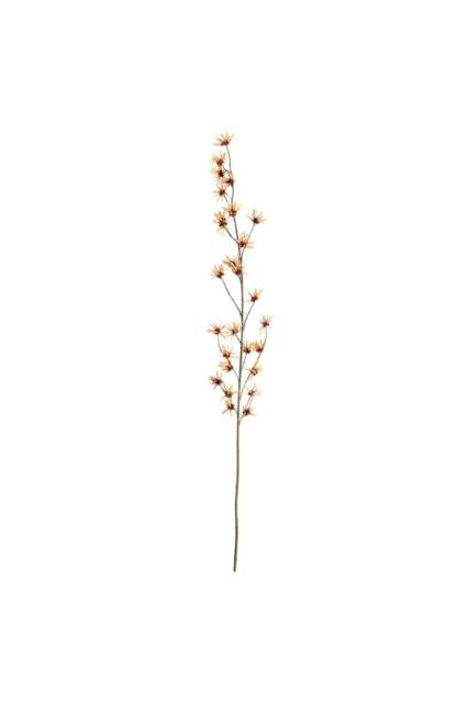 KDMD Botanica Orange Hamamelis Branch 153cm - image 1