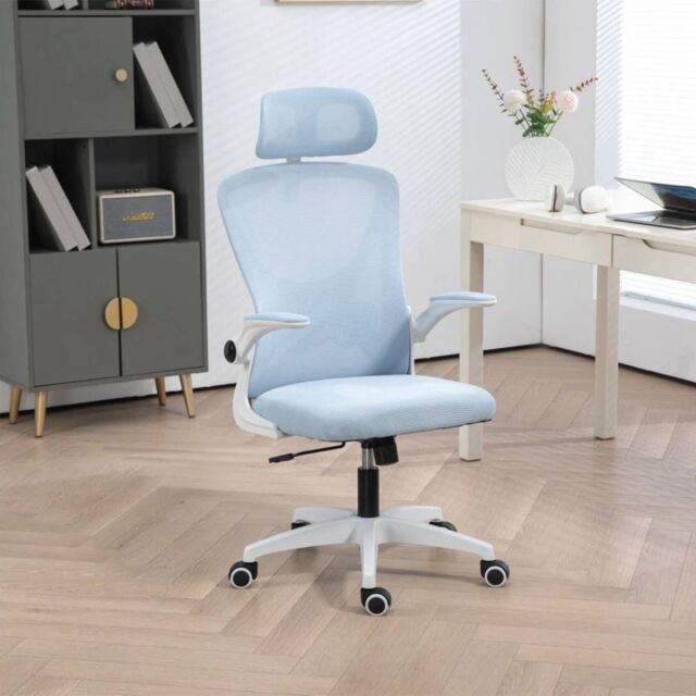 EONLION Executive Ergonomic Swivel Chair with Mesh in Blue - image 1