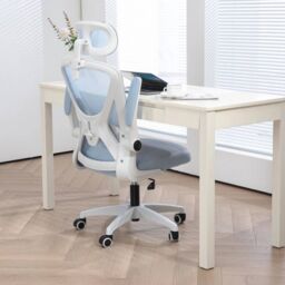 EONLION Executive Ergonomic Swivel Chair with Mesh in Blue - thumbnail 3