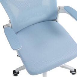EONLION Executive Ergonomic Swivel Chair with Mesh in Blue - thumbnail 4