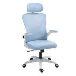 EONLION Executive Ergonomic Swivel Chair with Mesh in Blue - thumbnail 2