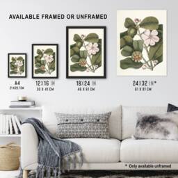 "Artery8 Balsam Tree Flower Vintage Botanical Catesby Framed Wall Art Print in Green - Size: W12"" x H16""" - thumbnail 3